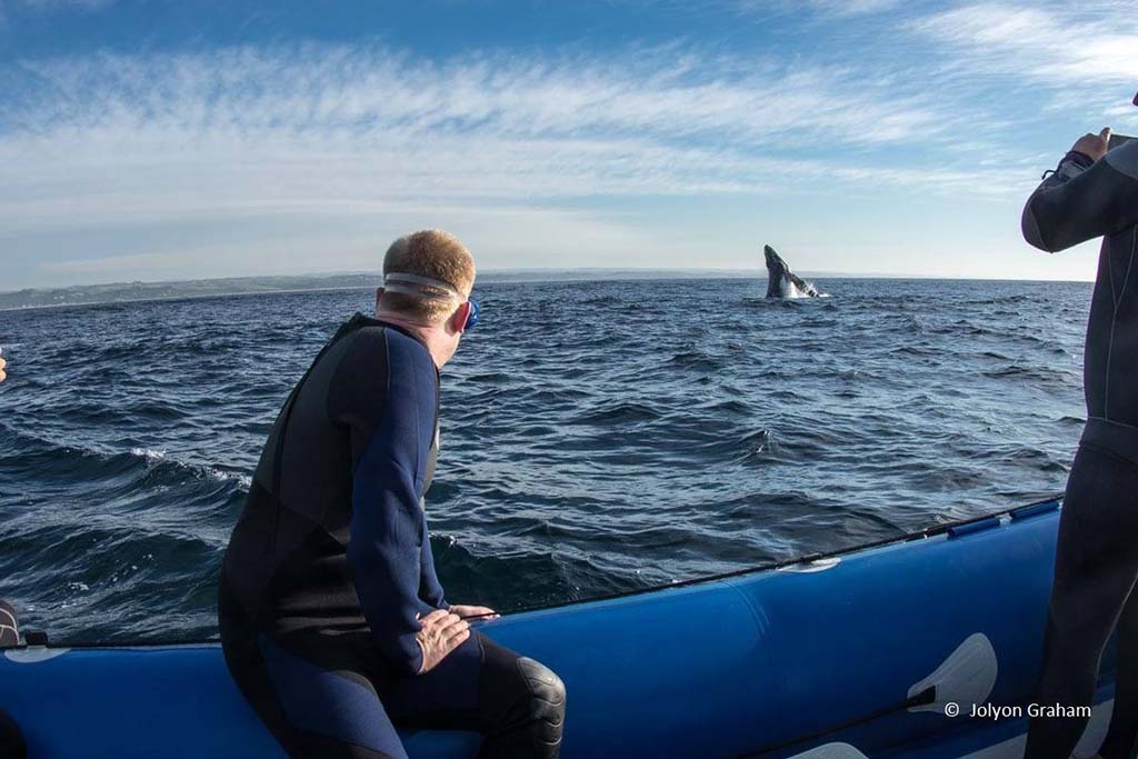 Suedafrika Mosambik Reisebericht 1 Suedafrika Mosambik Reisebericht 1