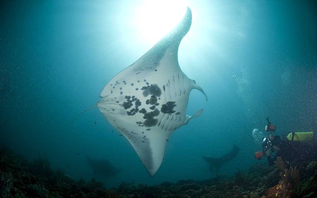 Fun Dive Asia