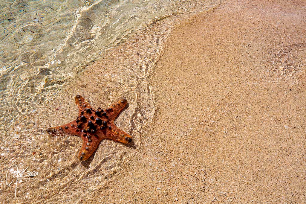Saronde Island Resort