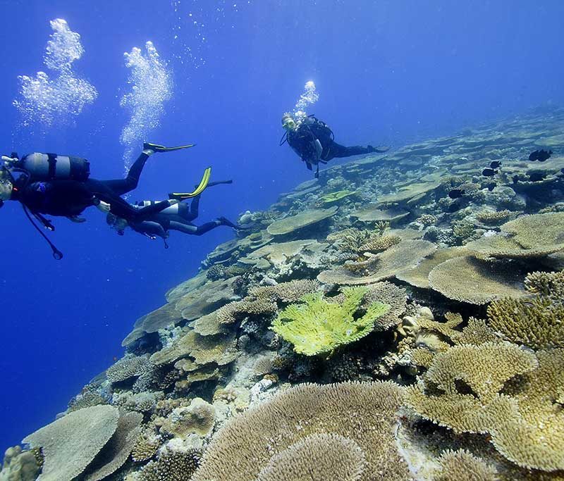 Le Lagon Maoré Tauchbasis